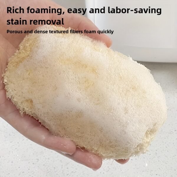 5PCS Natural Dish Cleaning Brushes Eco-Friendly Kitchen Scrub Set