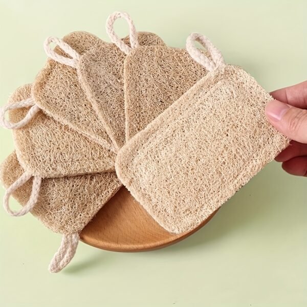 5PCS Natural Dish Cleaning Brushes Eco-Friendly Kitchen Scrub Set