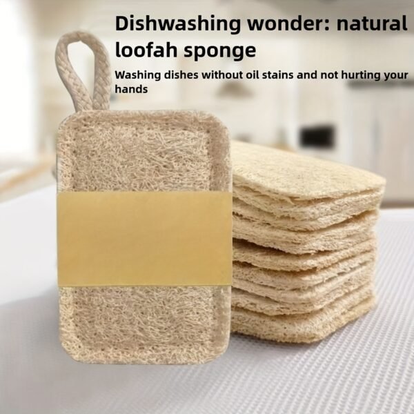 5PCS Natural Dish Cleaning Brushes Eco-Friendly Kitchen Scrub Set