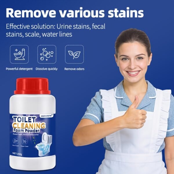 DeepClean Toilet Cleaning Powder 260G Powerful Stain & Odor Remover